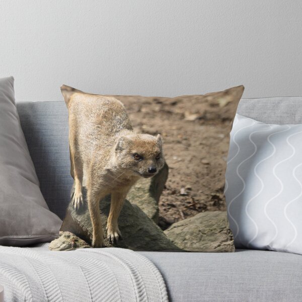 Item preview, Yellow mongoose (Cynictis penicillata) designed and sold by DutchLumix.