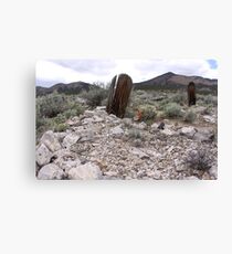 Solitary Tribute Canvas Print