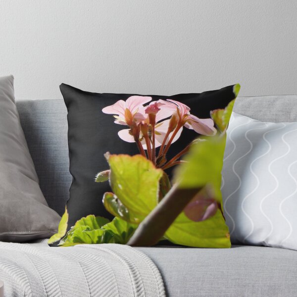 Item preview, contrasts of spring designed and sold by Jan Stead JEMproductions.