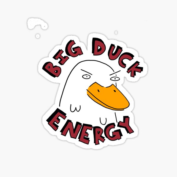 stevens institute of technology moletom com capuz