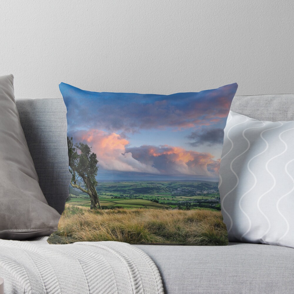 Item preview, Throw Pillow designed and sold by sjbowen.