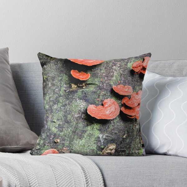 Item preview, Daintree Rain Forrest designed and sold by Mark Bilham.