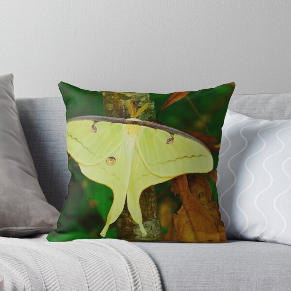 Item preview, Luna Moth designed and sold by Kathy Baccari.