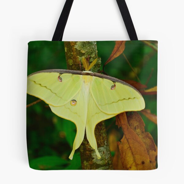 Item preview, Luna Moth designed and sold by Kathy Baccari.