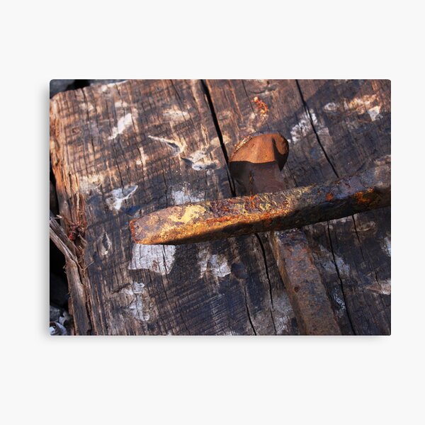 I Know It's True Canvas Print