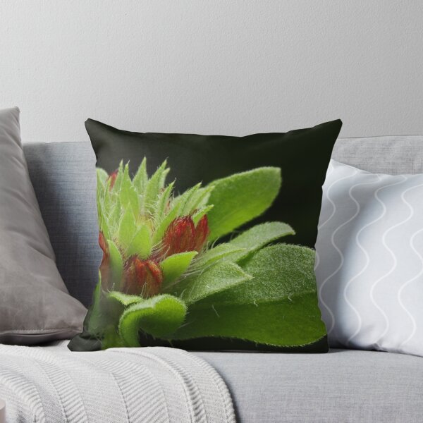 Item preview, Verdancy designed and sold by Lynn Gedeon.