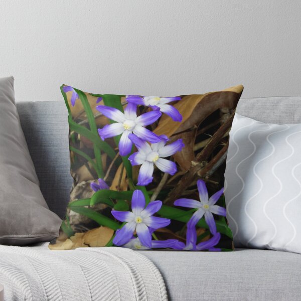 Item preview, Glory of the Snow - Chionodoxa designed and sold by dahlymama.