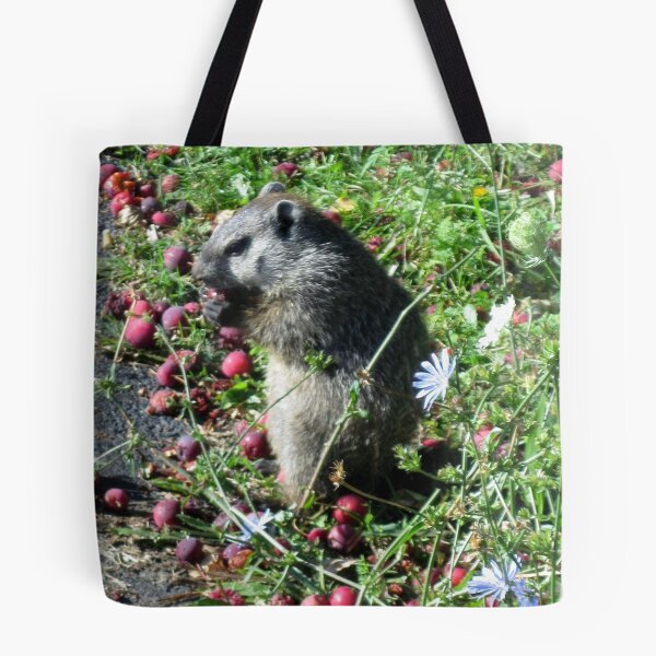 Item preview, Horatio at the Bus Stop designed and sold by Ray Vaughan.