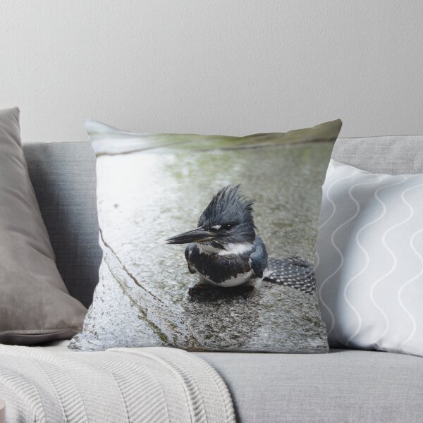 Item preview, Kingfisher designed and sold by Sara Bawtinheimer.