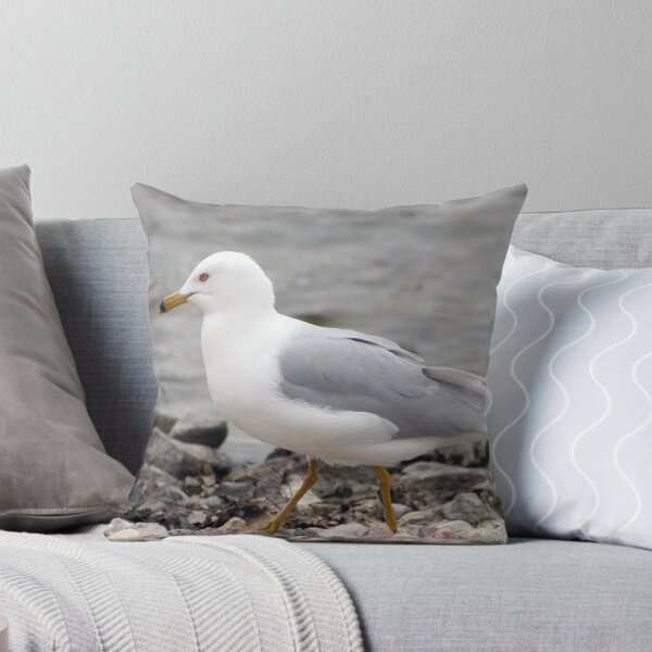 Item preview, Herring Gull Walking on a Rocky Beach designed and sold by rhamm.