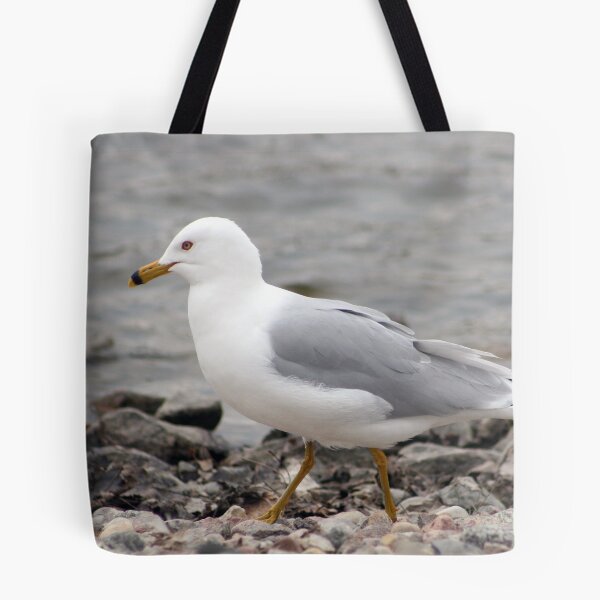 Item preview, Herring Gull Walking on a Rocky Beach designed and sold by rhamm.