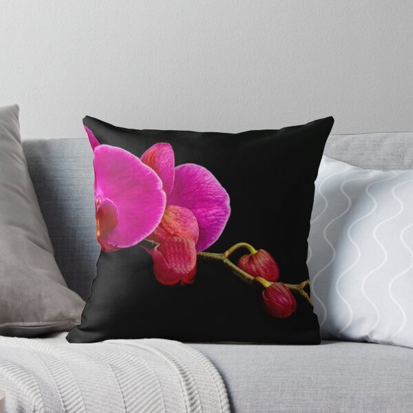 Item preview, Hot Pink designed and sold by Floyd Hopper.
