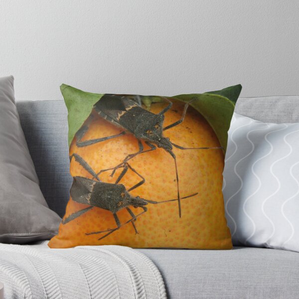 Item preview, Two Leaf Footed Bugs on an Orange designed and sold by rhamm.