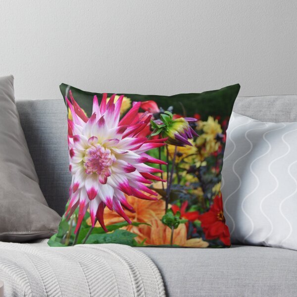 Artikelvorschau, Pink & White Dahlia entworfen und verkauft von Photos of Wales.