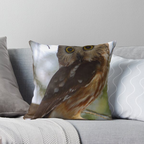 Item preview, Northern Saw-whet Owl designed and sold by naturalnomad.