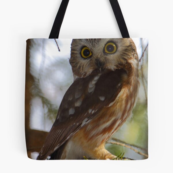 Item preview, Northern Saw-whet Owl designed and sold by naturalnomad.