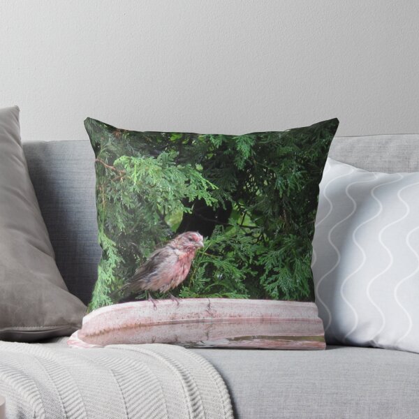 Item preview, Like water off a cardinals' back designed and sold by MarianBendeth.