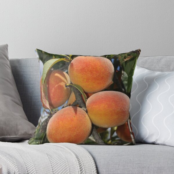 Item preview, "Going to the Country, Going to Eat a Lot of Peaches . . ." designed and sold by Caleb Ward.