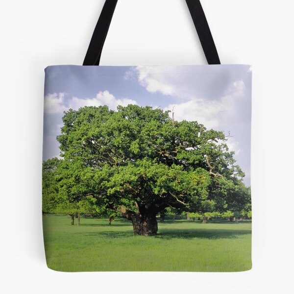 Item preview, Old oak tree designed and sold by DBigwood.