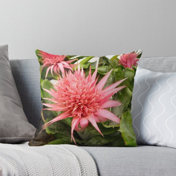 Item preview, Sharp Beauty designed and sold by Braedene.
