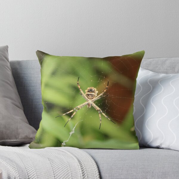 Item preview, Orb Weaver Spider By Plants designed and sold by rhamm.