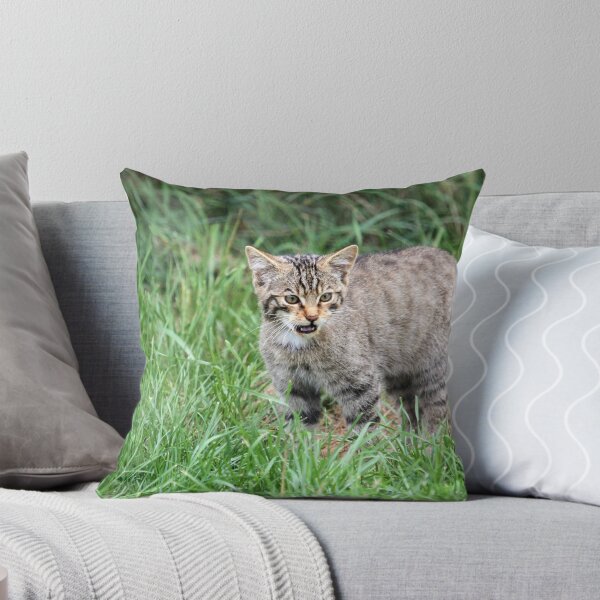 Item preview, Wildcat Kitten designed and sold by Christopher Lloyd.
