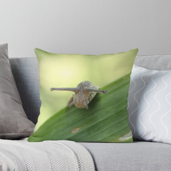 Item preview, Snail designed and sold by Lavanda.