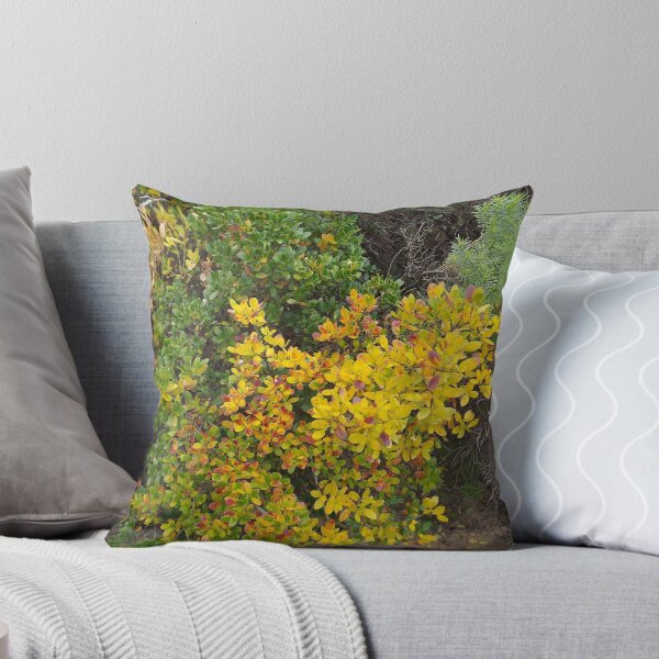 Item preview, Contrast designed and sold by John Witte.