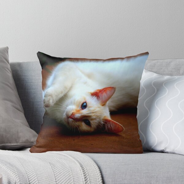 Tristan Throw Pillow