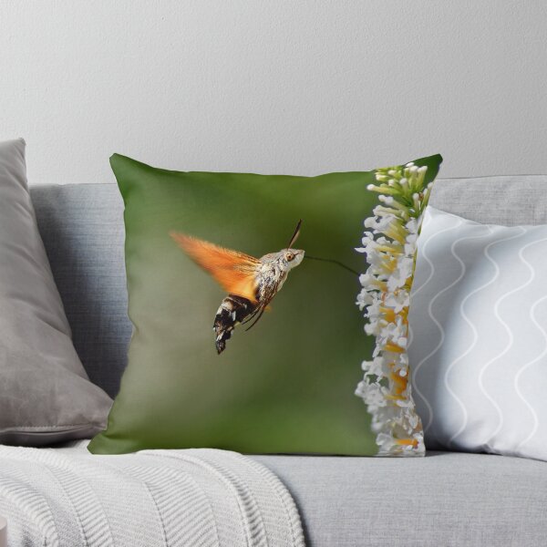 Item preview, Humming Bird Moth 2 designed and sold by Thomas Gelder.