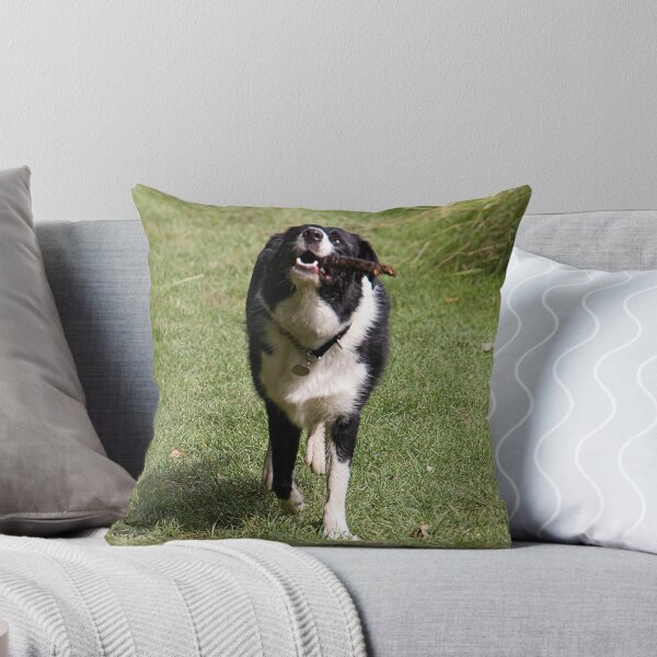 Item preview, BORDER COLLIE designed and sold by MIKESCOTT.