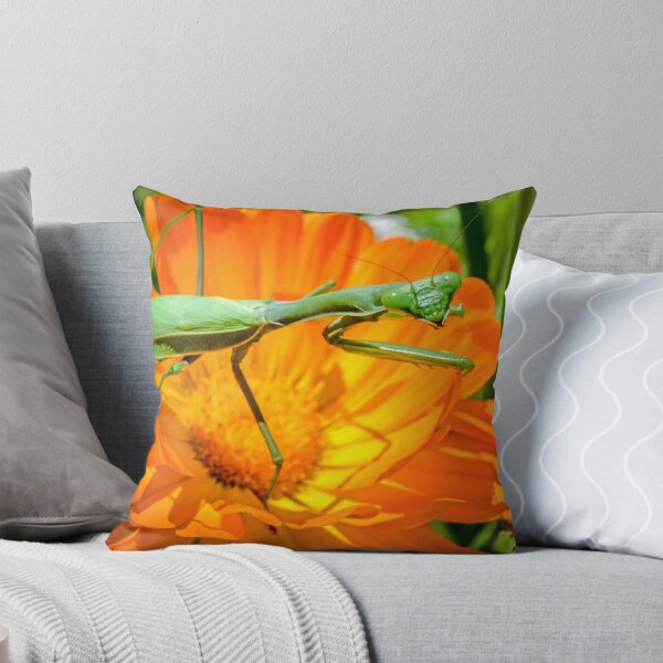 Item preview, No Camera's Please! designed and sold by George I. Davidson.