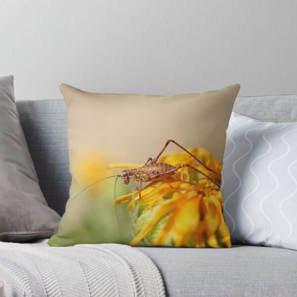Item preview, flower and grasshopper designed and sold by Lavanda.
