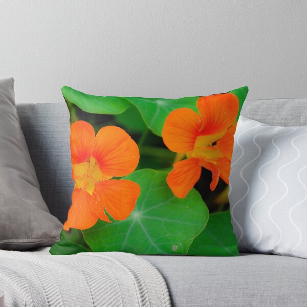 Item preview, Nasturtiums in Orange designed and sold by Orla Cahill Photography.