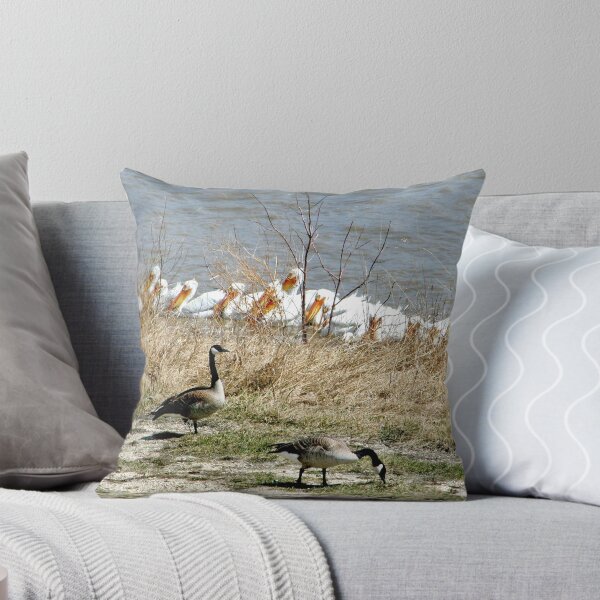 Item preview, Pelican Brief !! designed and sold by AnnDixon.