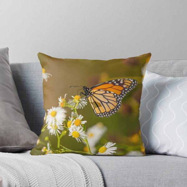 Item preview, Late Monarch designed and sold by Thomasyoung.