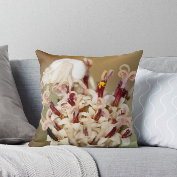 Item preview, Misumena vatia designed and sold by Rina Greeff.