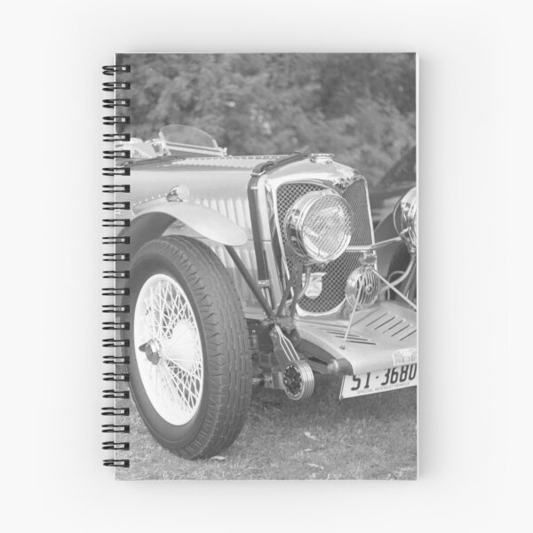Item preview, Riley Racing Car designed and sold by Derwent-01.