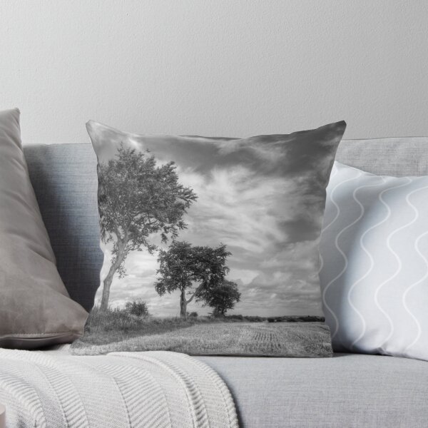 Item preview, Black And White Trees designed and sold by HJIrvine.