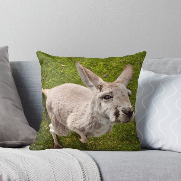 Item preview, Curious Kangaroo designed and sold by CptnLucky.