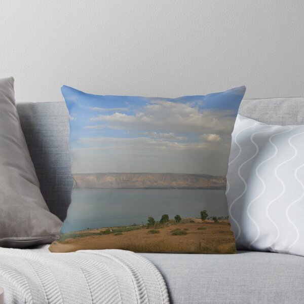 Item preview, View of the Kineret designed and sold by Nira Dabush.