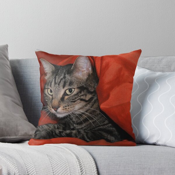 Item preview, I found you designed and sold by Jan Tribe.