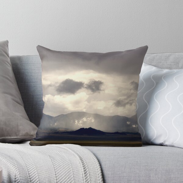 Vortex Throw Pillow