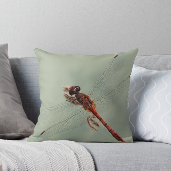Item preview, Dragonfly for the iPad designed and sold by RickLionheart.