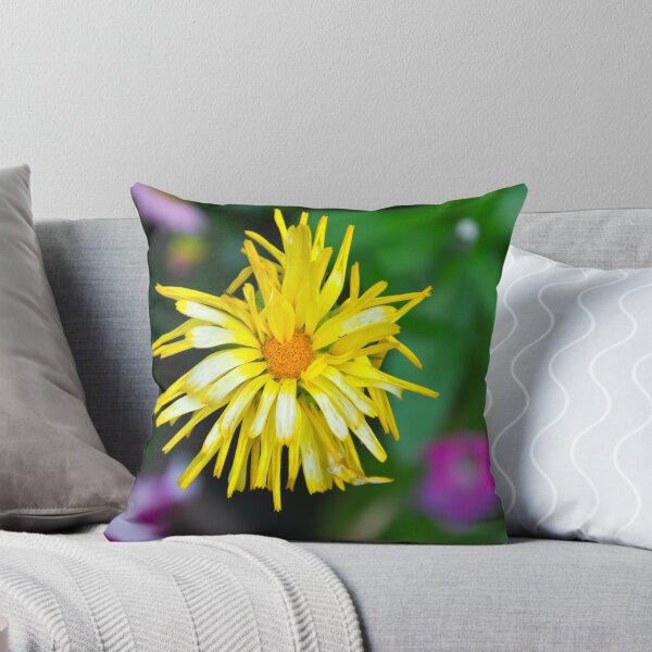 Item preview, Scraggly Calendula designed and sold by Orla Cahill Photography.