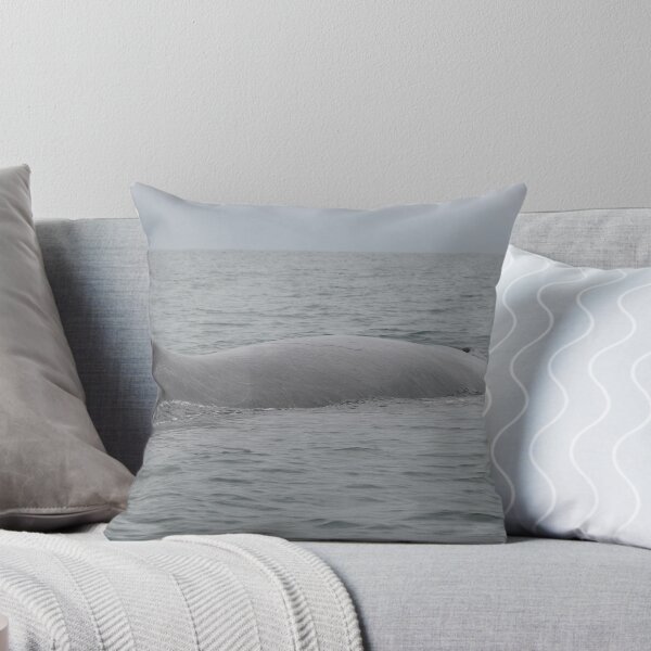 Item preview, Humpback Whale on the Surface designed and sold by rhamm.