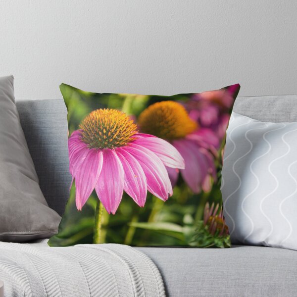 Artikelvorschau, Coneflowers 2 entworfen und verkauft von Photopa.