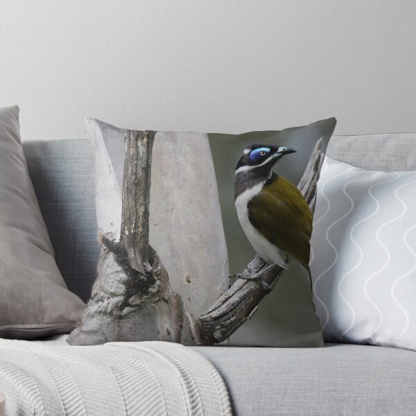 Item preview, Old Blue Eyes designed and sold by Phillip Weyers.
