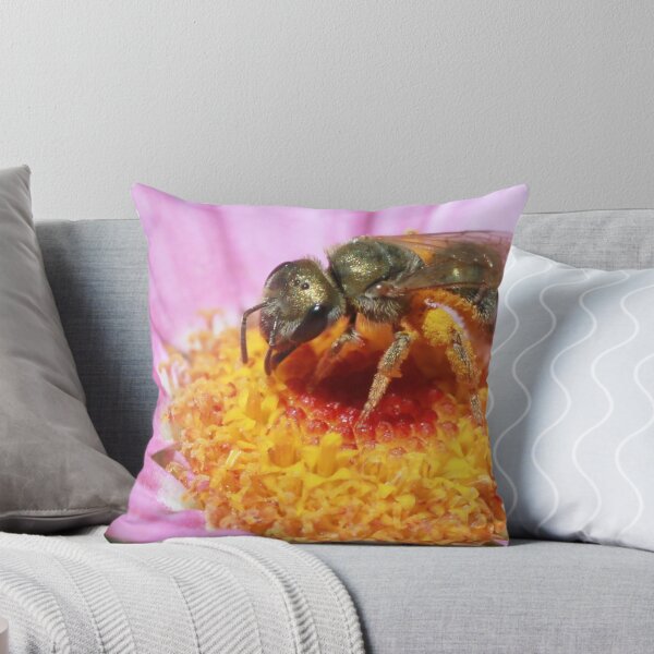 Item preview, Sweat Bee - Halictidae designed and sold by Rina Greeff.