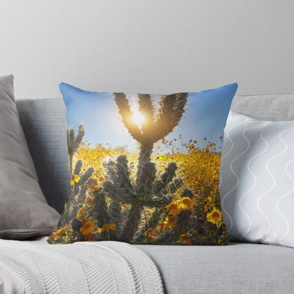 Item preview, Sun Surround designed and sold by Bob Larson.
